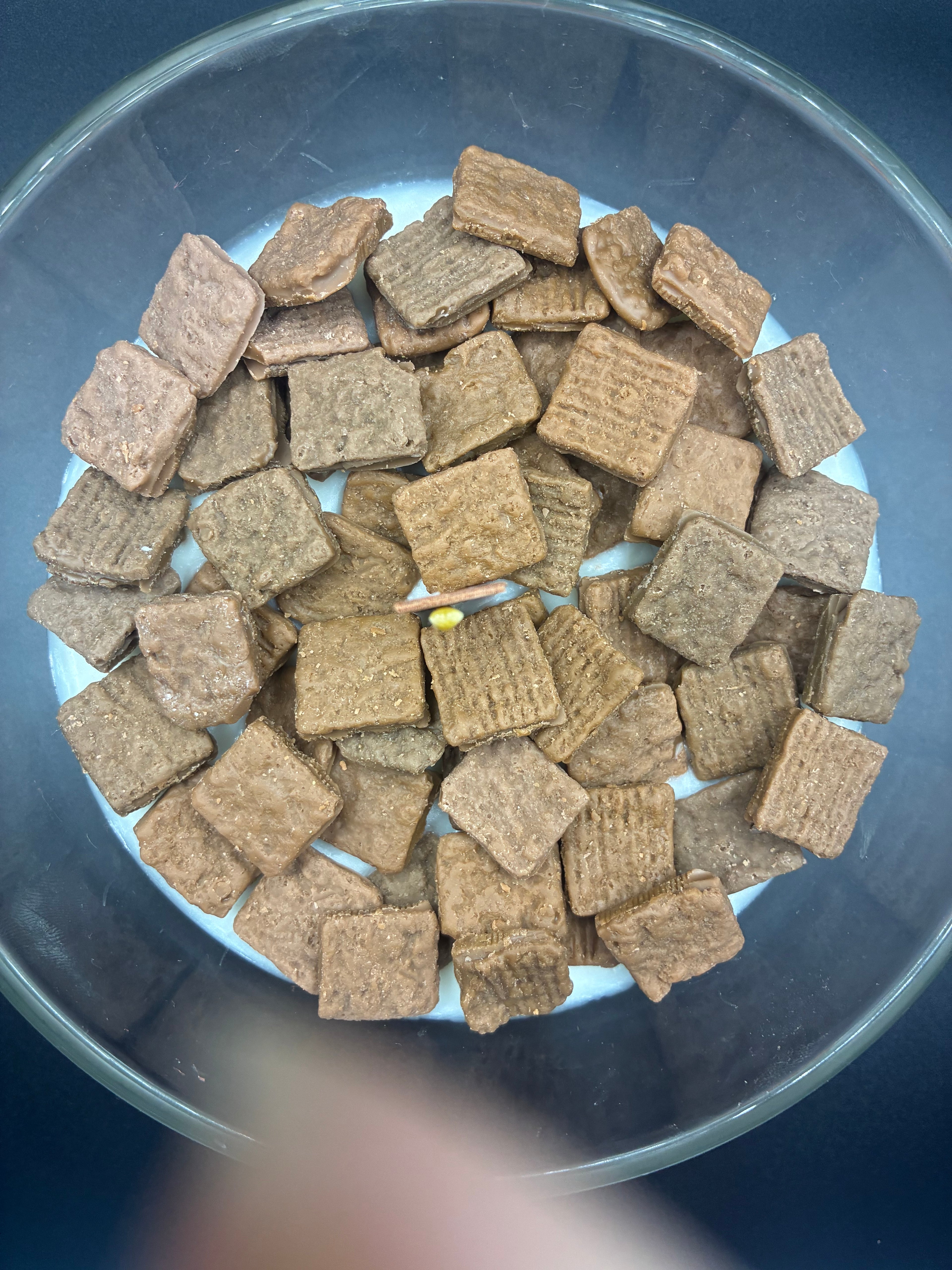 Cinnamon Toast Crunch Cereal (LG)